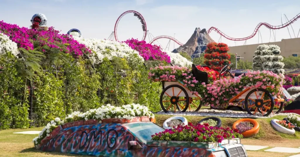 Experience Dubai Miracle Garden (seasonal) Arab1