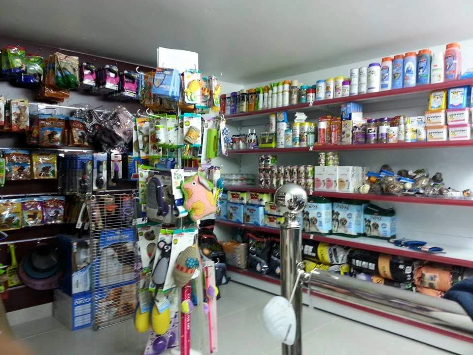 animal planet ajman arab1