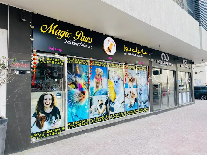 magic paws ajman arab1