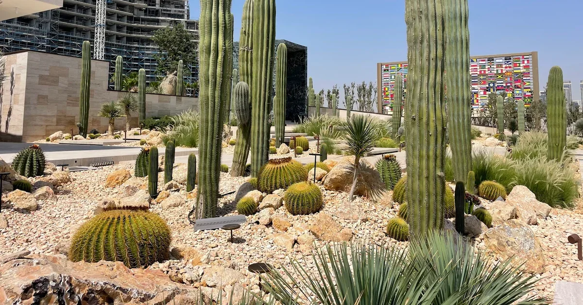Also Explore: Cactus Park of Kerulah Cafe Nature in Dubai