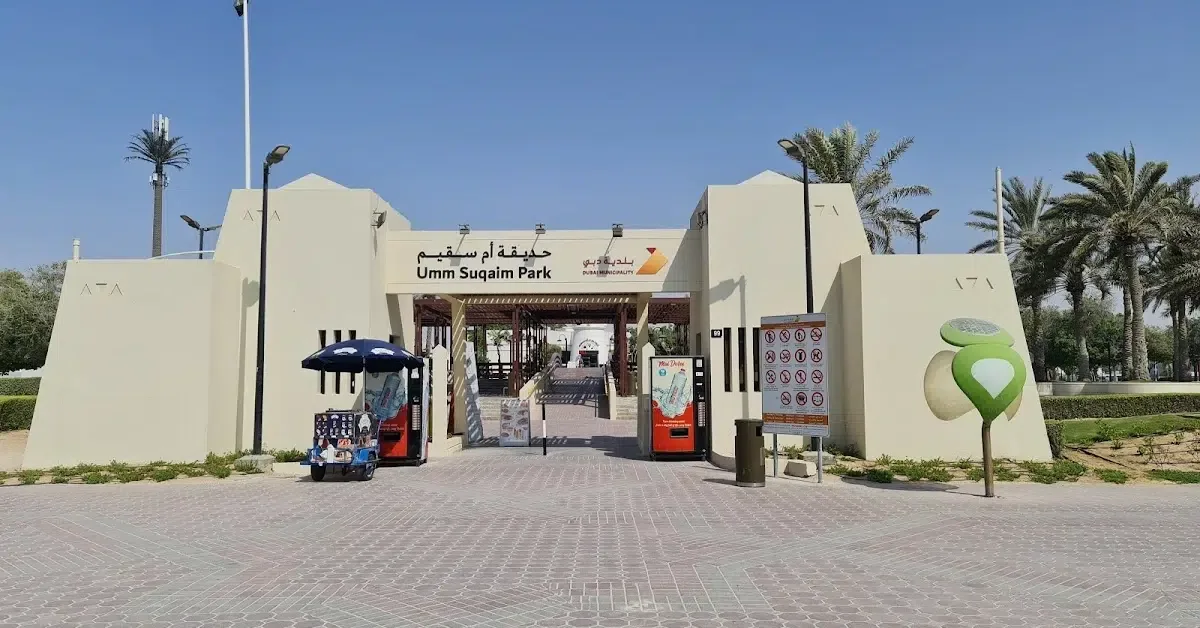 Also Explore: Umm Suqeim Park Nature in Dubai